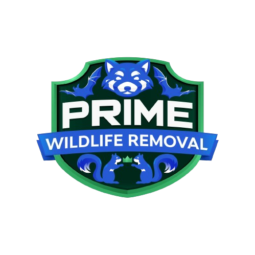 Wildlife Removal Saline